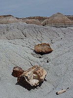 Blue mesa FP (25).JPG